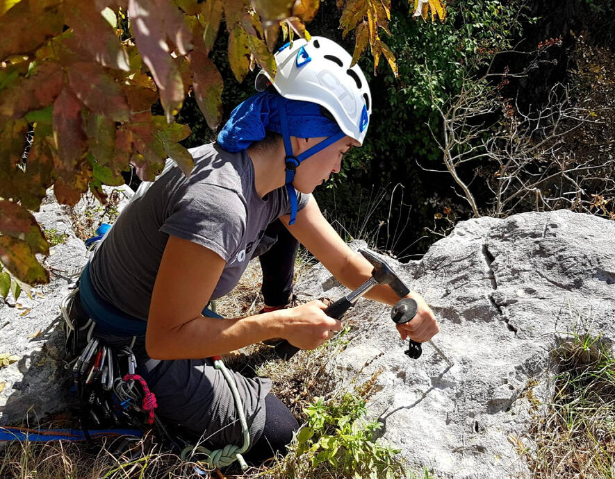 ciocănitoarea de stâncă