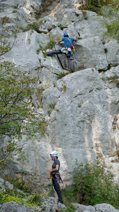 parteneri de coardă