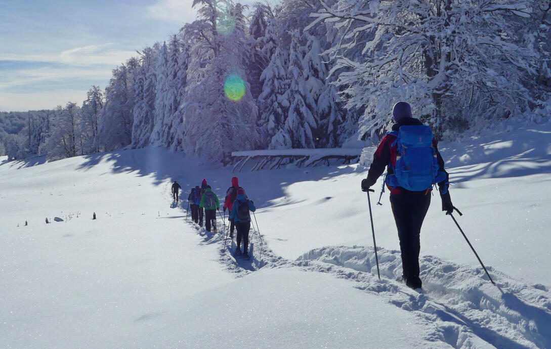 la margine de codru des