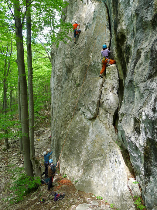 forță și echilibru