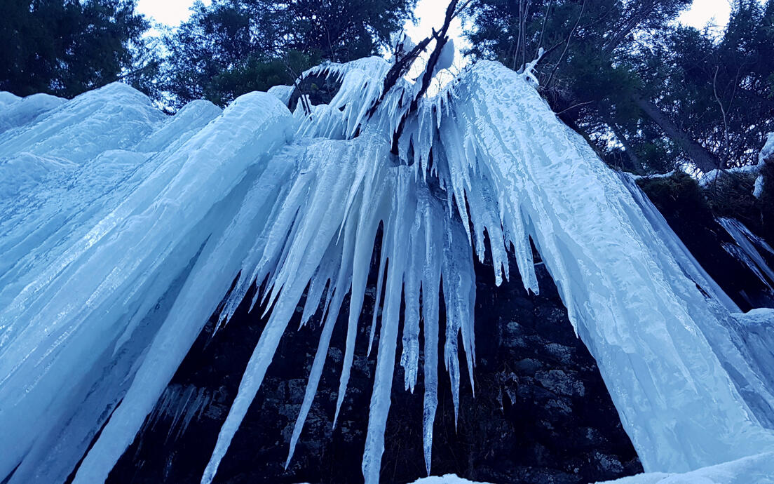 „dinții” iernii