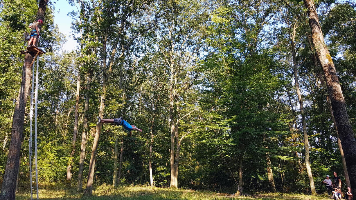 zbor deasupra firului de iarbă