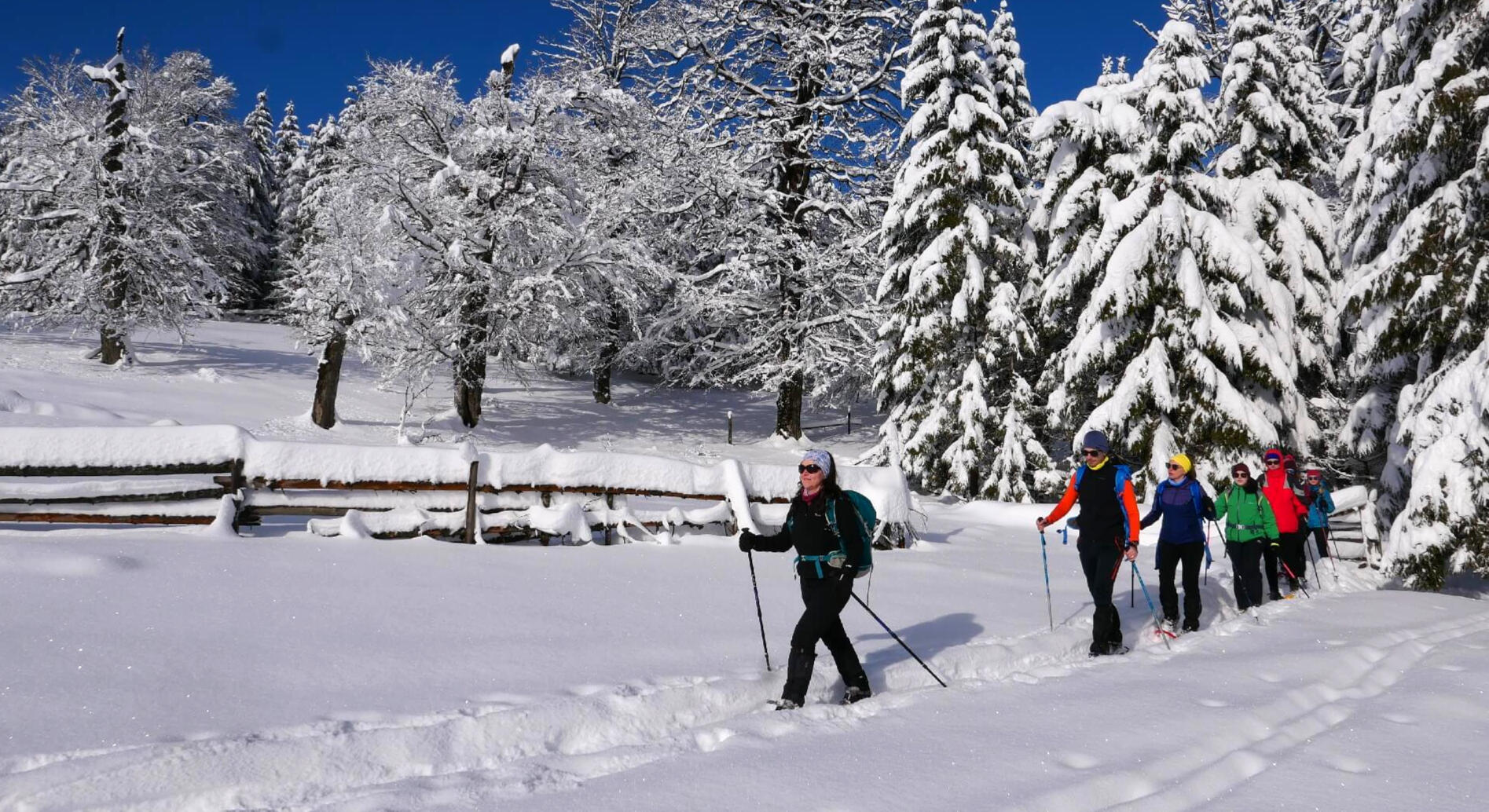 drumeție în munții Semenic pe rachete de zăpadă