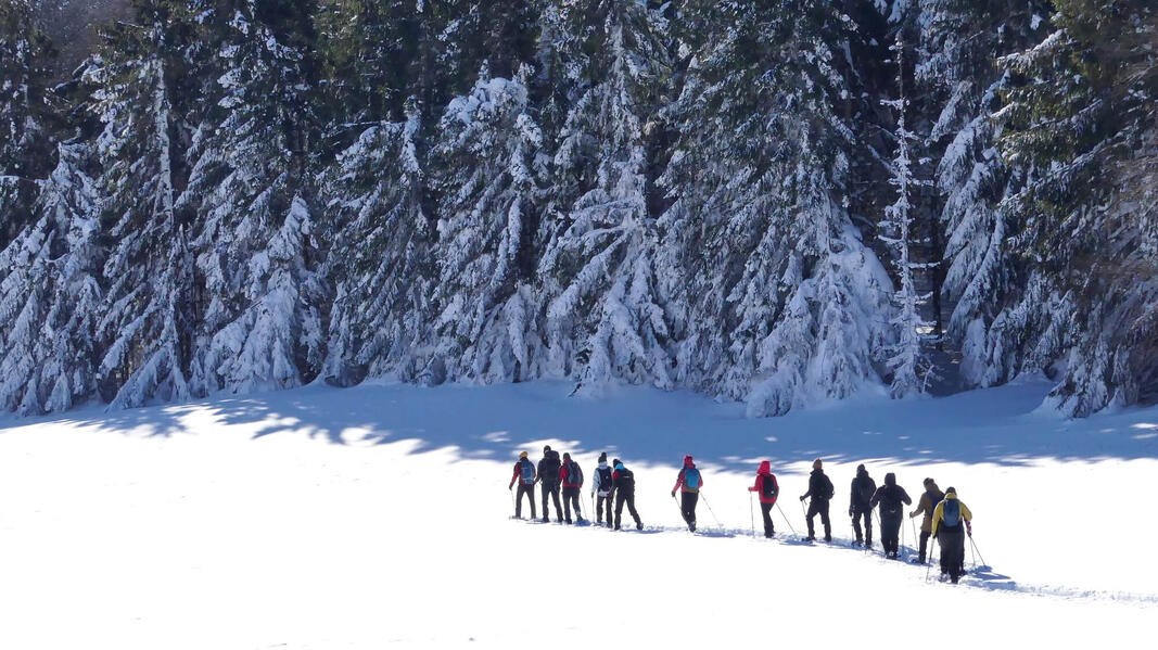 printre giganții împovărați