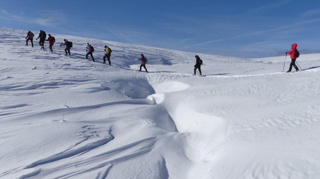 peste poduri de gheață