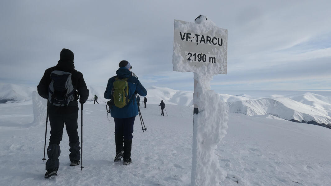 vârful Țarcu și munții din zare